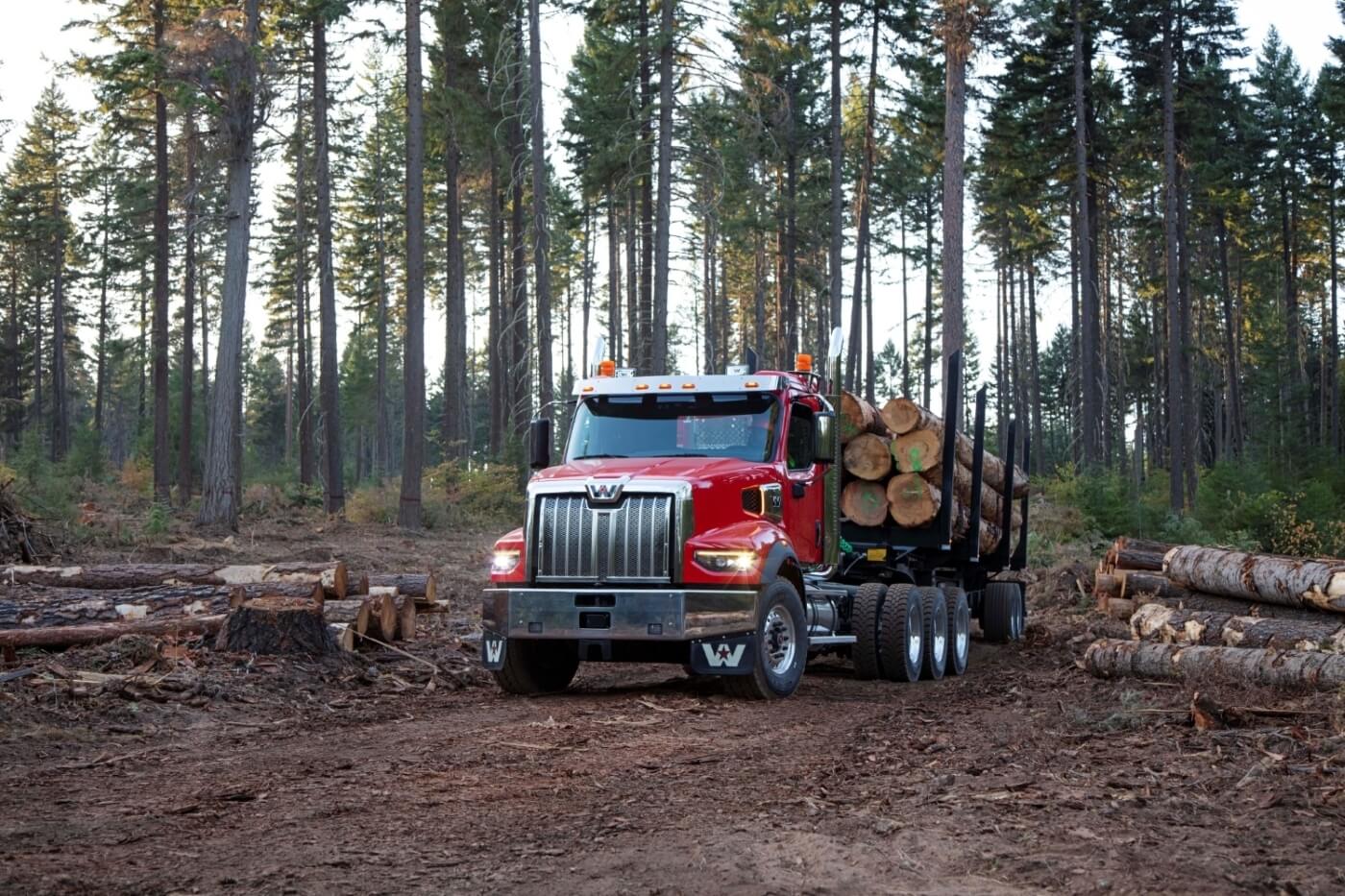 Western Star 49X Daycab Log Truck